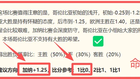 哈兰德加布里埃尔：世界杯18决赛巅峰对决，不容错过的精彩对决